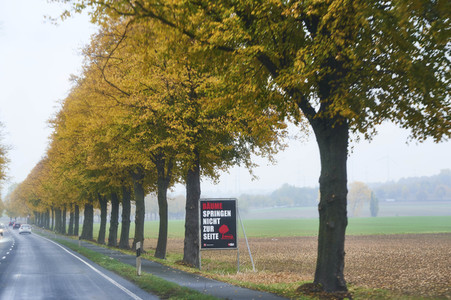 Symbolfoto Straßenverkehr in Herbst