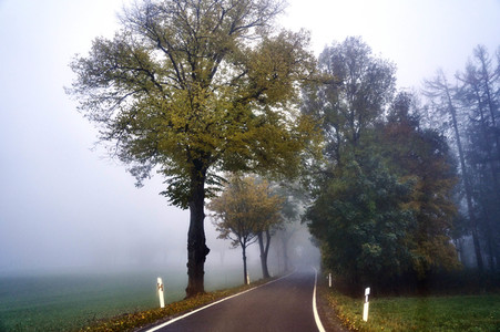 Symbolfoto Straßenverkehr in Herbst