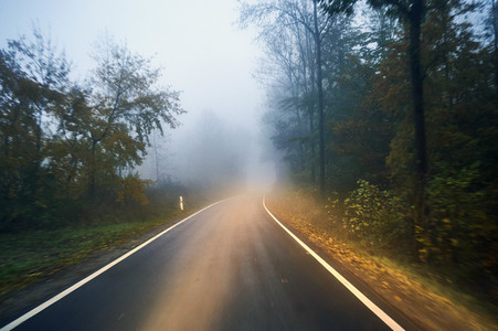 Symbolfoto Straßenverkehr in Herbst