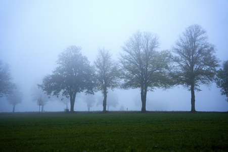 Symbolfoto Nebel