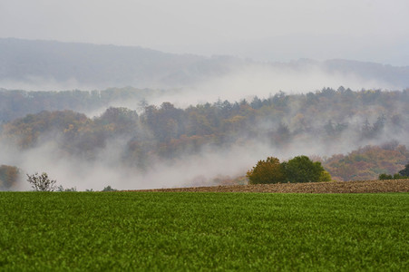 Symbolfoto Nebel