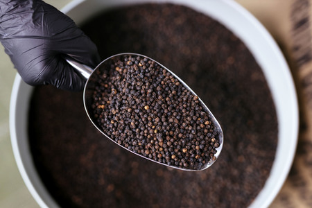 Symbolfoto schwarzer Pfeffer