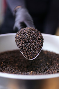 Symbolfoto schwarzer Pfeffer