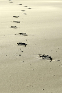 Impressionen von der Nordseeinsel Amrum