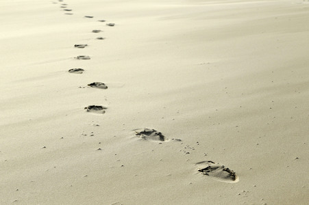 Impressionen von der Nordseeinsel Amrum