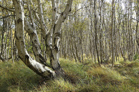 Impressionen von der Nordseeinsel Amrum