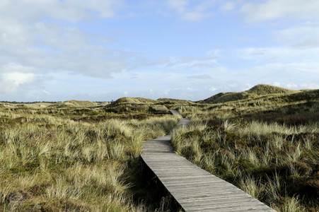 Impressionen von der Nordseeinsel Amrum