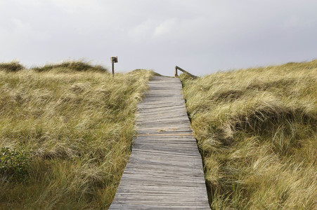 Impressionen von der Nordseeinsel Amrum