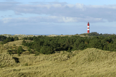 Impressionen von der Nordseeinsel Amrum