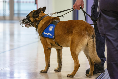 Eröffnung des Flughafens Berlin-Brandenburg in Schönefeld