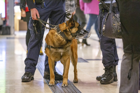Eröffnung des Flughafens Berlin-Brandenburg in Schönefeld