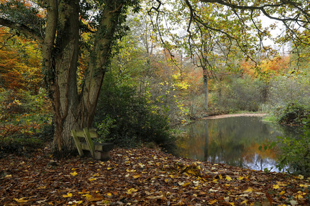 NATURE ART: Herbstlaub / Autumn Leaves Bodypainting