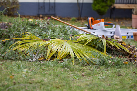 Symbolfoto Gartenarbeit