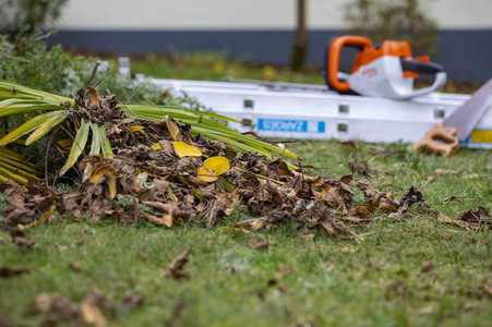 Symbolfoto Gartenarbeit