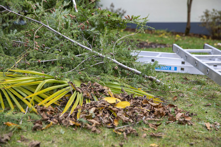 Symbolfoto Gartenarbeit