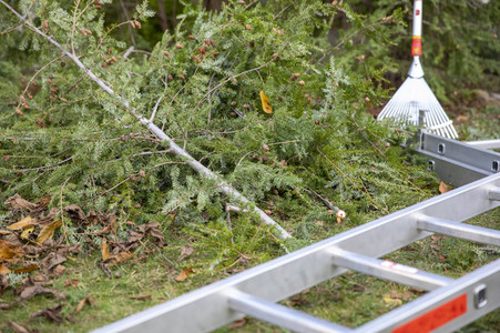 Symbolfoto Gartenarbeit