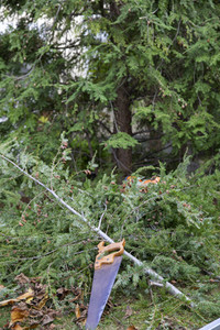 Symbolfoto Gartenarbeit