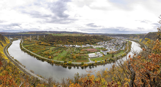 Herbst an den Mosel-Weinbergen in Winningen