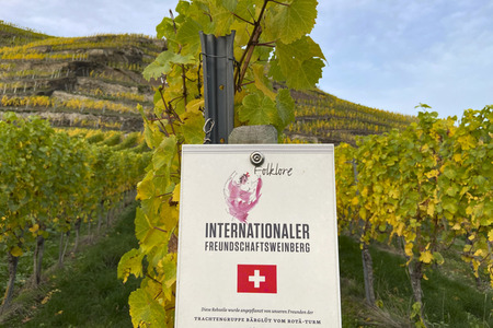 Herbst an den Mosel-Weinbergen in Winningen