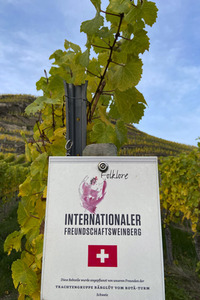 Herbst an den Mosel-Weinbergen in Winningen