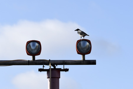 Symbolfoto Landeanflug