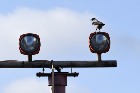 Symbolfoto Landeanflug