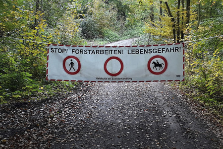 Symbolfoto Forstarbeiten