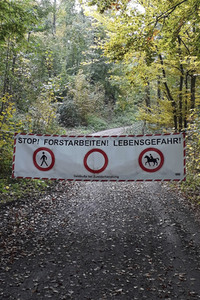 Symbolfoto Forstarbeiten