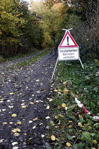 Symbolfoto Forstarbeiten