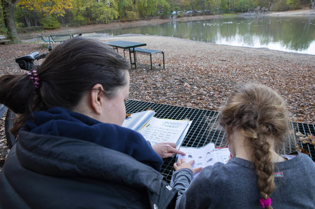 Symbolfoto Hausaufgaben im Freien