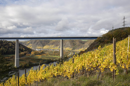 Moseltalbrücke in Dieblich