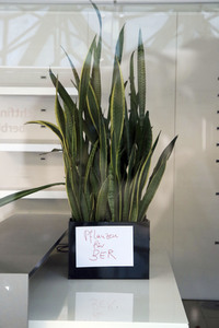 Letzter Abflug vom Flughafen Tegel in Berlin