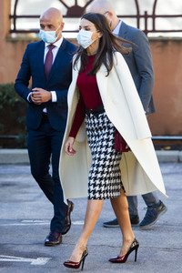 Königin Letizia von Spanien beim Royal Board on Disability in Madrid