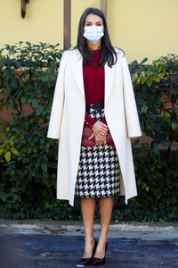 Königin Letizia von Spanien beim Royal Board on Disability in Madrid