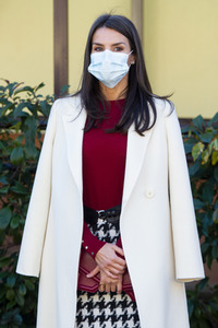 Königin Letizia von Spanien beim Royal Board on Disability in Madrid