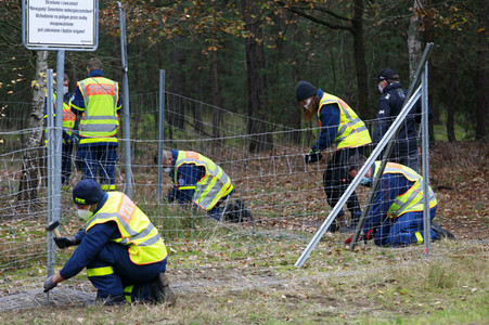 Pressetermin zum Bau eines Zauns zur Eindämmung der Afrikanischen Schweinepest in Krauschwitz