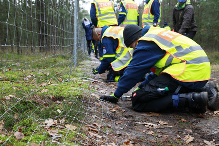 Pressetermin zum Bau eines Zauns zur Eindämmung der Afrikanischen Schweinepest in Krauschwitz