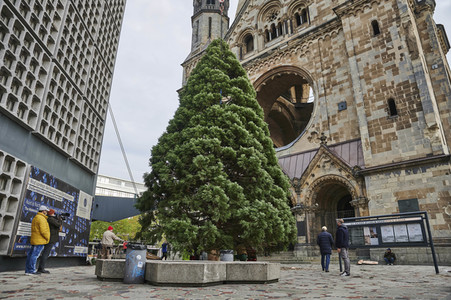 Aufstellen des Weihnachtsbaumes an der Gedächtniskirche in Berlin