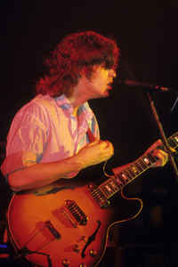 Konzert von The Waterboys in London