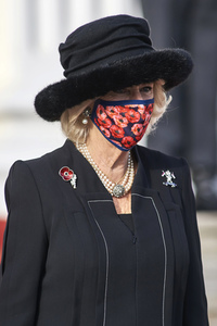 Empfang von Prinz Charles und Herzogin Camilla beim Bundespräsidenten in Berlin