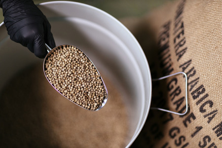 Symbolfoto Weißer Pfeffer