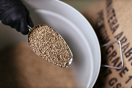 Symbolfoto Weißer Pfeffer