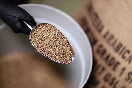 Symbolfoto Weißer Pfeffer