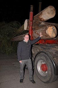 Christbaum-Aufstellung in München