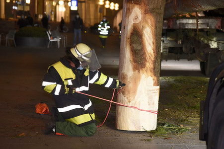 Christbaum-Aufstellung in München