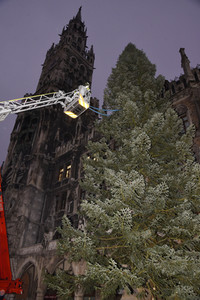 Christbaum-Aufstellung in München