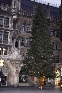 Christbaum-Aufstellung in München