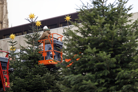 Weihnachtsbäume in Köln
