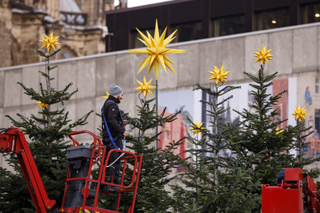 Weihnachtsbäume in Köln