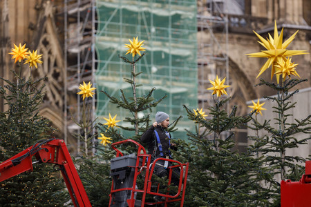 Weihnachtsbäume in Köln